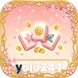 YOLO247 — ikon APK